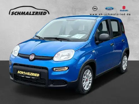 Annonce FIAT PANDA Hybride 2024 d'occasion 