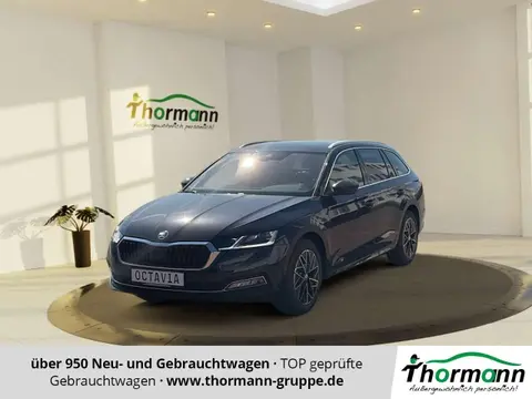 Used SKODA OCTAVIA Diesel 2024 Ad 