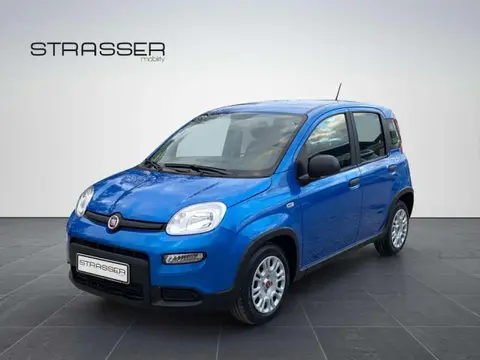 Annonce FIAT PANDA Essence 2024 d'occasion 