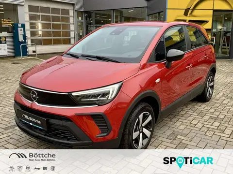 Annonce OPEL CROSSLAND Essence 2023 d'occasion 