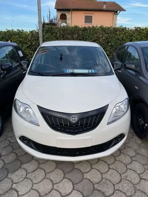 Used LANCIA YPSILON Hybrid 2024 Ad 