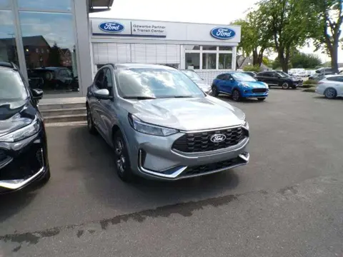 Used FORD KUGA Petrol 2024 Ad 