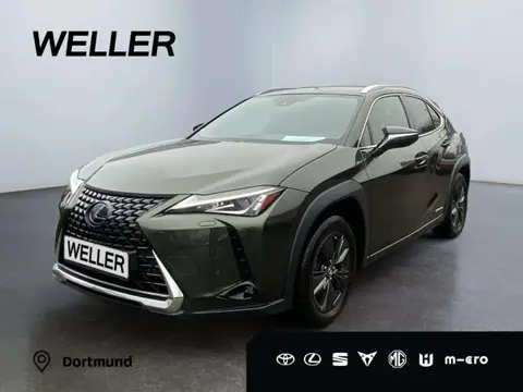 Used LEXUS UX Hybrid 2020 Ad 