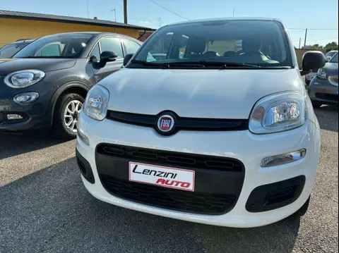 Used FIAT PANDA Petrol 2018 Ad 