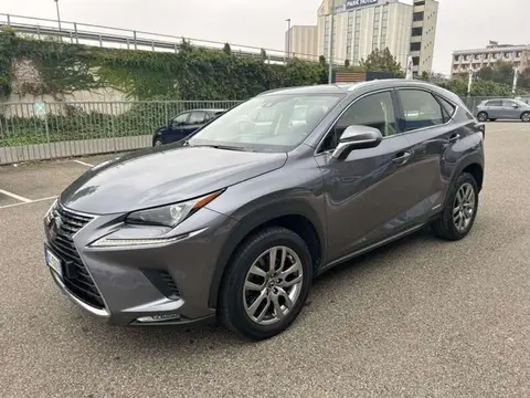 Used LEXUS NX Hybrid 2021 Ad 