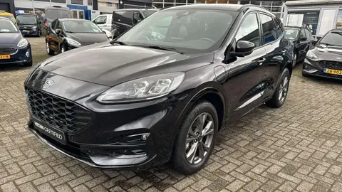 Used FORD KUGA Hybrid 2022 Ad 