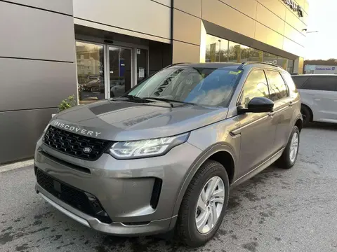 Annonce LAND ROVER DISCOVERY Diesel 2024 d'occasion 