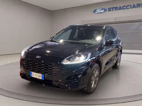 Used FORD KUGA Hybrid 2021 Ad 