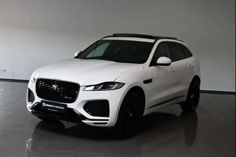 Used JAGUAR F-PACE Hybrid 2021 Ad 