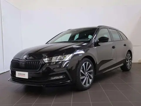 Annonce SKODA OCTAVIA Diesel 2023 d'occasion 