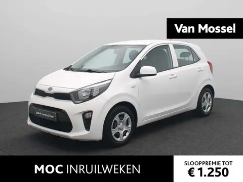 Used KIA PICANTO Petrol 2019 Ad 