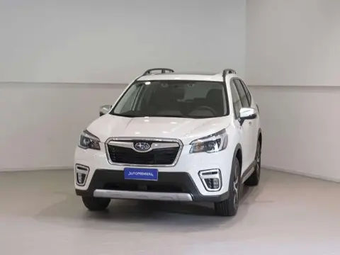 Used SUBARU FORESTER Hybrid 2020 Ad 