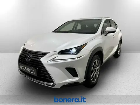 Used LEXUS NX Hybrid 2018 Ad 