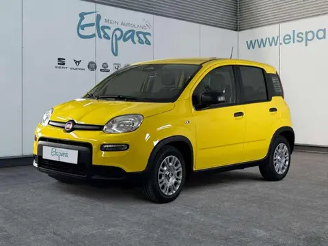 Used FIAT PANDA Petrol 2024 Ad 