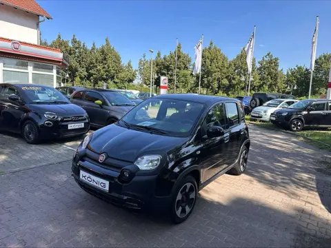 Used FIAT PANDA Petrol 2023 Ad 