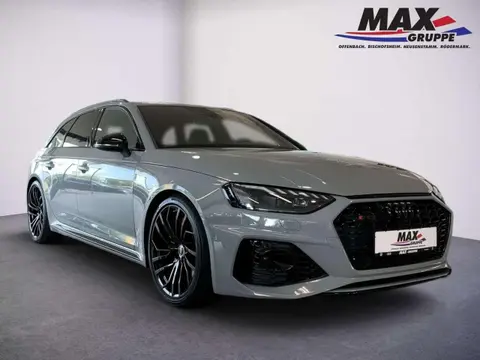 Used AUDI RS4 Petrol 2023 Ad 