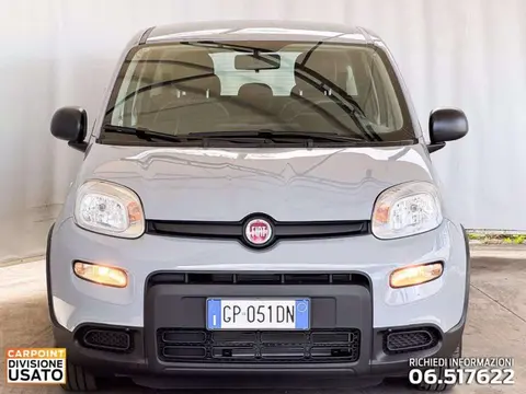 Used FIAT PANDA Hybrid 2023 Ad 