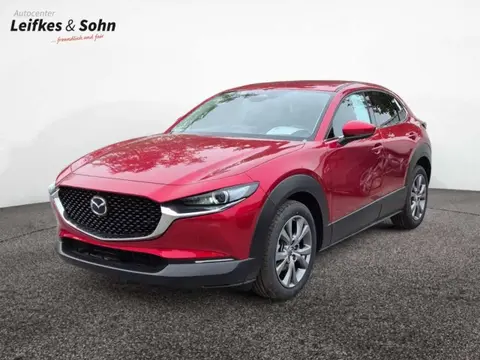 Annonce MAZDA CX-30 Essence 2024 d'occasion Allemagne