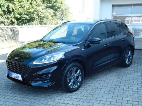 Used FORD KUGA Diesel 2022 Ad 