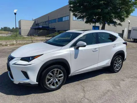 Annonce LEXUS NX Hybride 2019 d'occasion 