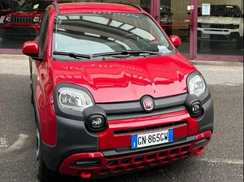 Annonce FIAT PANDA Hybride 2023 d'occasion 