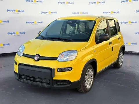 Annonce FIAT PANDA Hybride 2024 d'occasion 