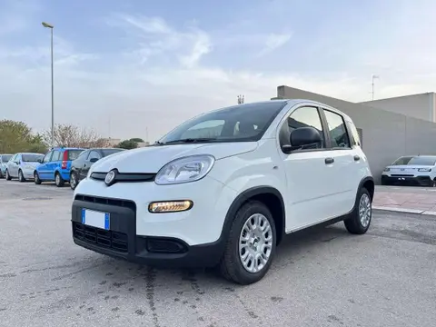 Used FIAT PANDA Petrol 2024 Ad 