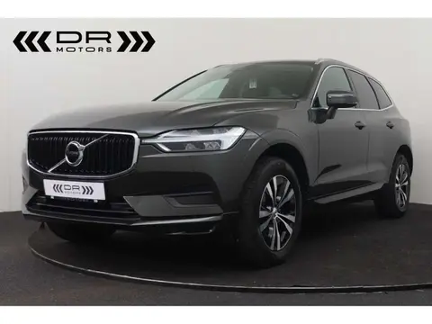 Used VOLVO XC60 Diesel 2019 Ad 