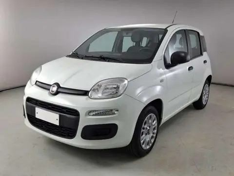 Used FIAT PANDA Petrol 2019 Ad 