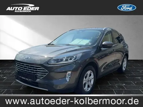 Used FORD KUGA Diesel 2020 Ad 