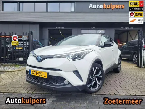 Used TOYOTA C-HR Hybrid 2019 Ad 