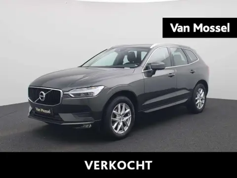 Used VOLVO XC60 Diesel 2019 Ad 