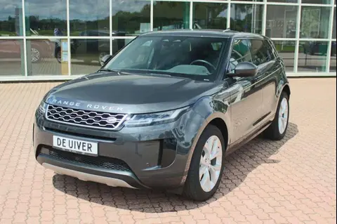 Used LAND ROVER RANGE ROVER EVOQUE Hybrid 2021 Ad 