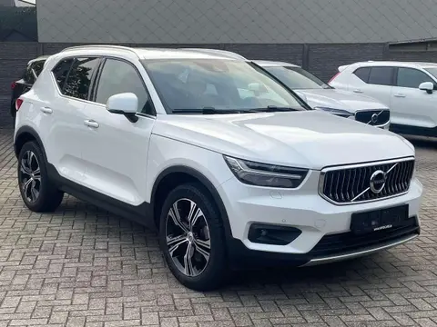 Used VOLVO XC40 Hybrid 2021 Ad 