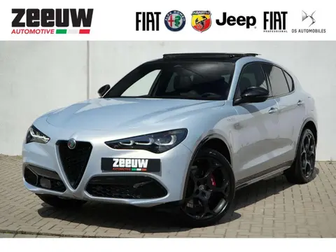 Annonce ALFA ROMEO STELVIO Essence 2024 d'occasion 