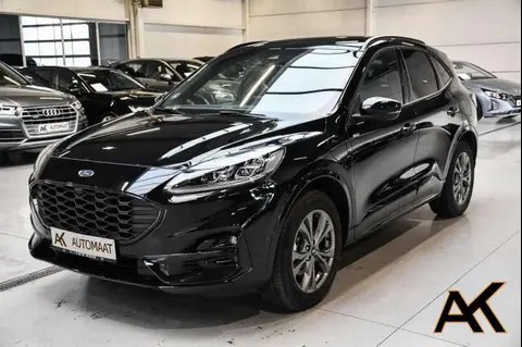 Used FORD KUGA Hybrid 2023 Ad 