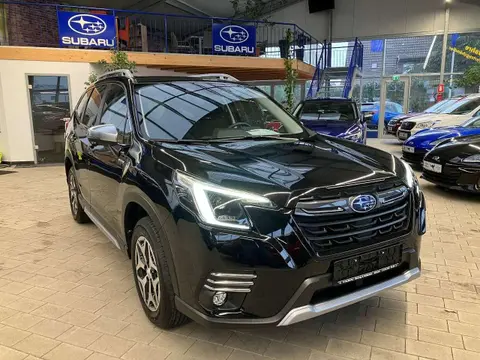 Annonce SUBARU FORESTER Essence 2024 d'occasion 