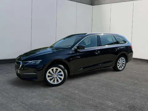 Annonce SKODA OCTAVIA Diesel 2024 d'occasion 