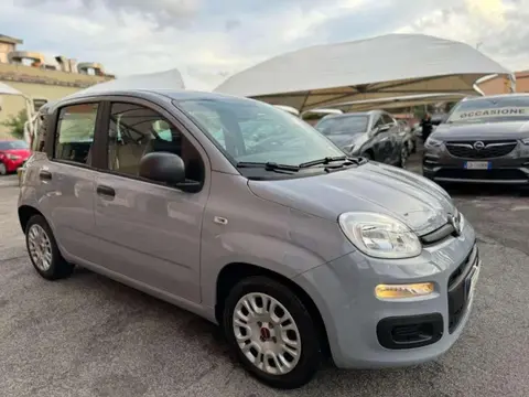 Annonce FIAT PANDA Essence 2022 d'occasion 