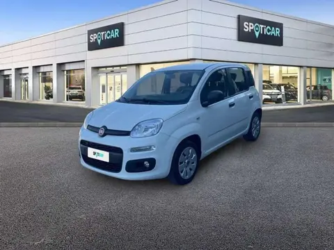 Annonce FIAT PANDA Essence 2017 d'occasion 