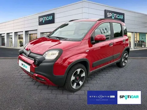 Used FIAT PANDA Hybrid 2023 Ad 