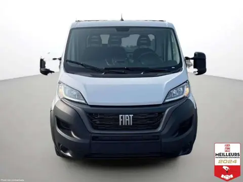 Annonce FIAT DUCATO Diesel 2024 d'occasion 