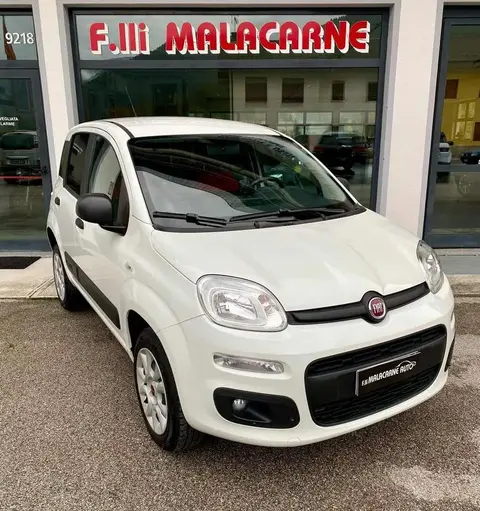 Annonce FIAT PANDA Essence 2019 d'occasion 