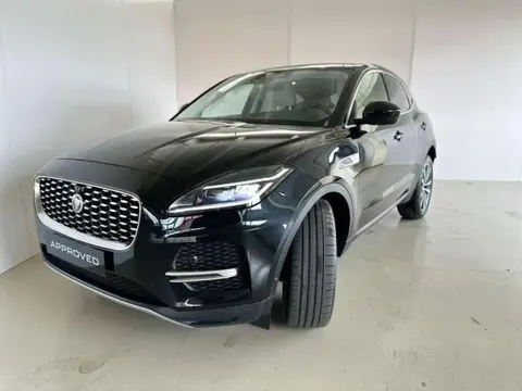 Used JAGUAR E-PACE Hybrid 2021 Ad 