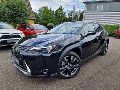 Used LEXUS UX Petrol 2023 Ad 