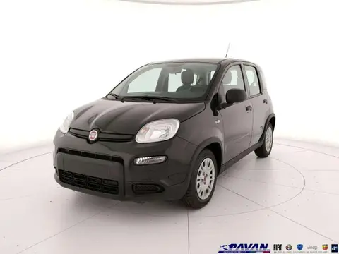 Annonce FIAT PANDA Hybride 2024 d'occasion 