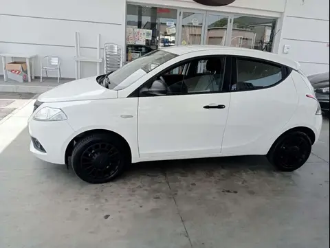 Used LANCIA YPSILON Petrol 2019 Ad 