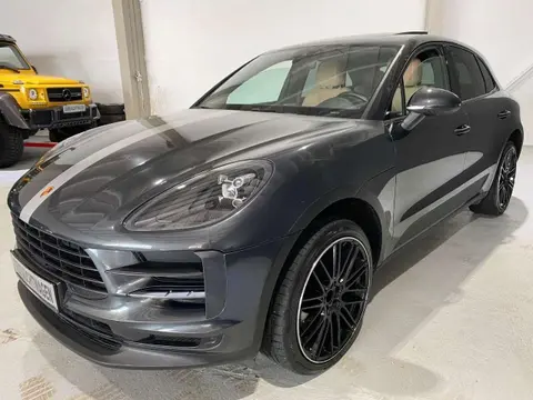 Used PORSCHE MACAN Petrol 2021 Ad 