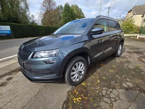 Annonce SKODA KAROQ Diesel 2019 d'occasion 