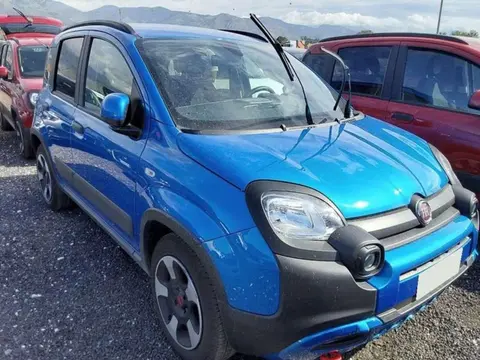 Used FIAT PANDA Hybrid 2024 Ad 